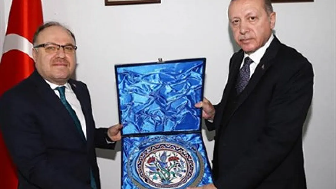 Cumhurbaşkanı Erdoğan'dan Vali Tutulmaz'a plaket