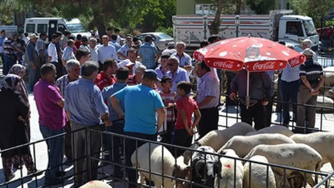 Dazkırı'da kurban pazarı açıldı – Kocatepe Gazetesi