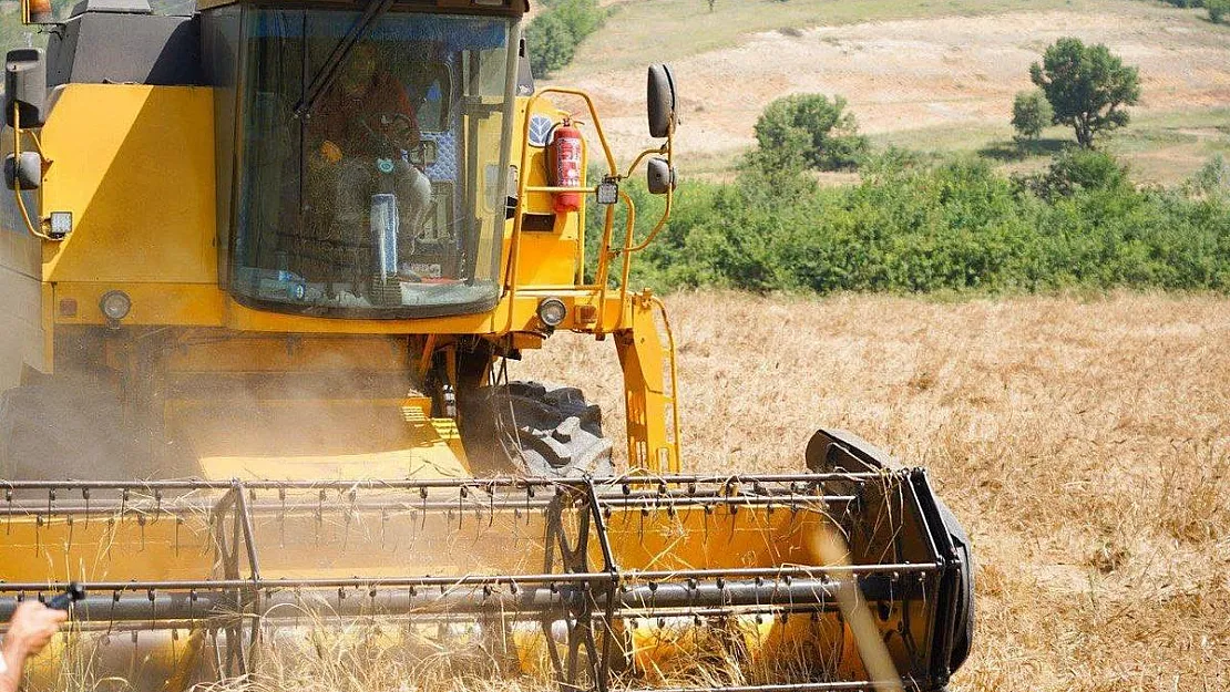 Deneme amaçlı ekilen ‘Karakılçık’ buğdayının hasadı yapıldı