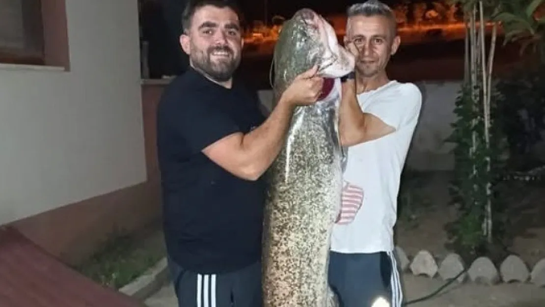 Dev Yayın Balığını Tutuldu