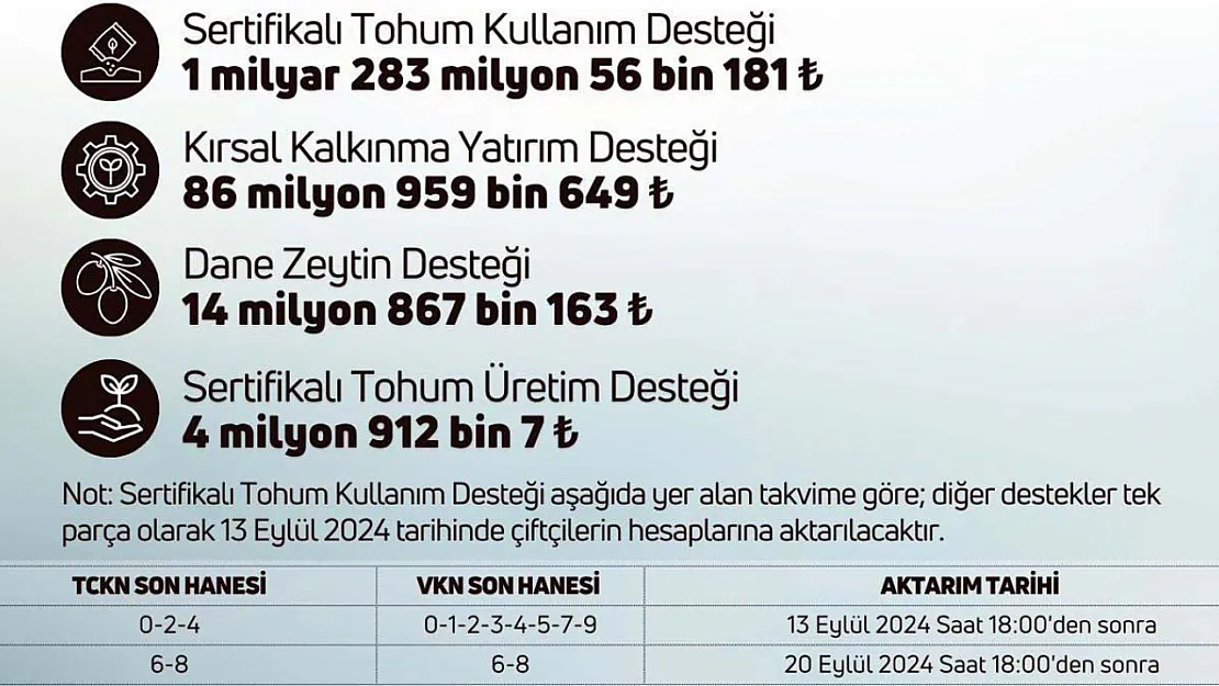 Devlet Paraları Hesaplara Yatırıyor