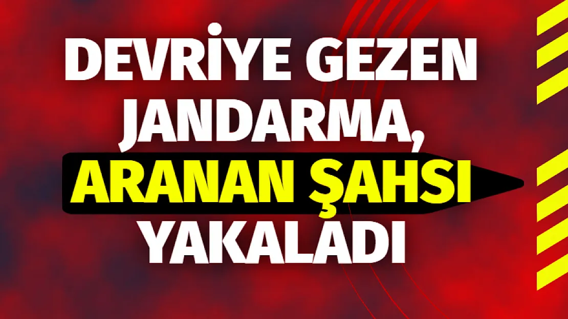 Devriye gezen Jandarma, Aranan Şahsı Yakaladı