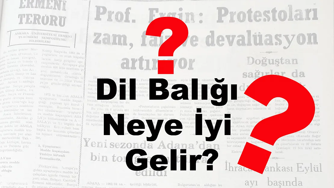 Dil Balığı Neye İyi Gelir?