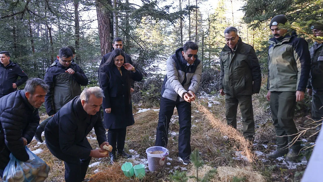 Doğada Aç Kalan Yaban Hayvanları İçin Yem Bıraktılar