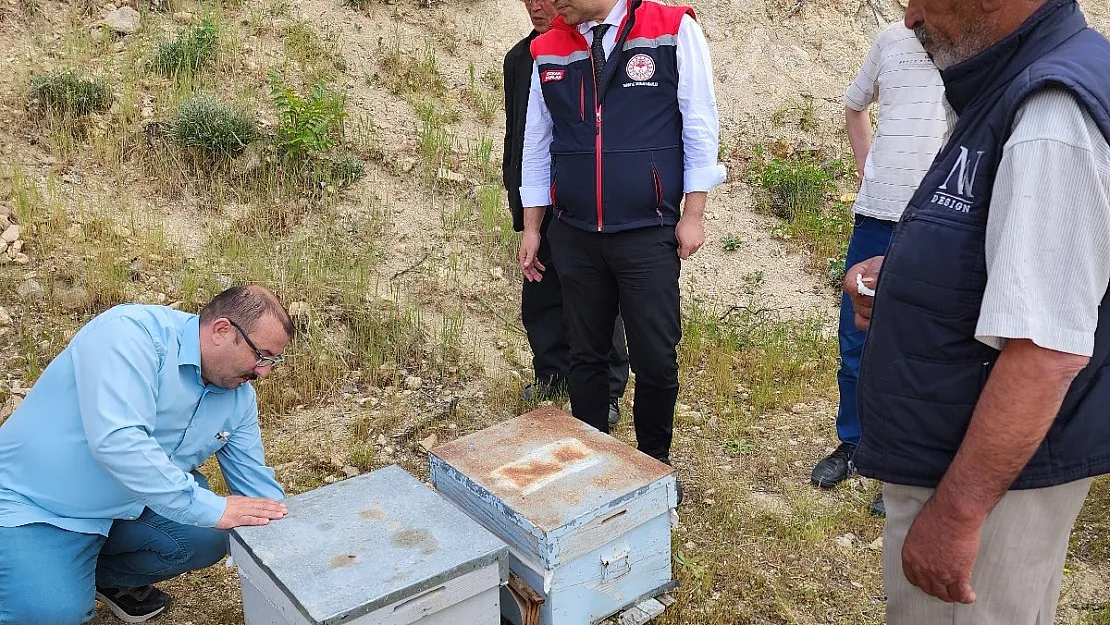 Duyan Kulaklarına İnanamıyor, Onlar da Mola İçin Afyon'u Tercih Ediyorlar..!