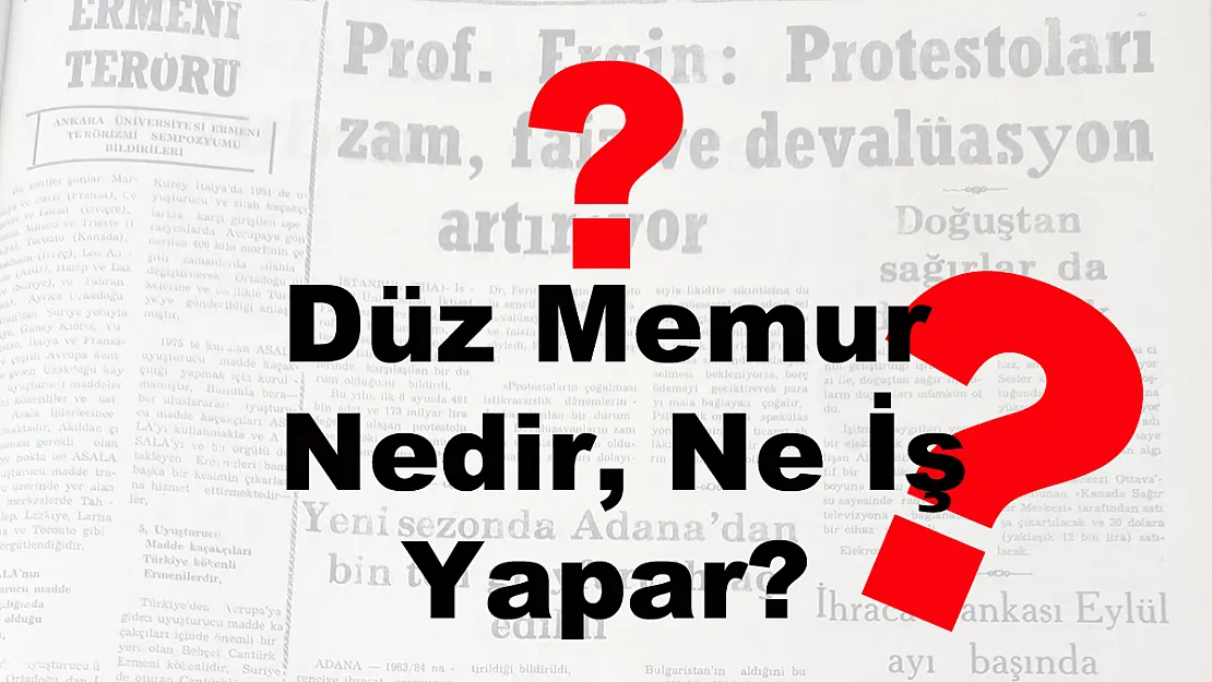 Düz Memur Nedir, Ne İş Yapar?