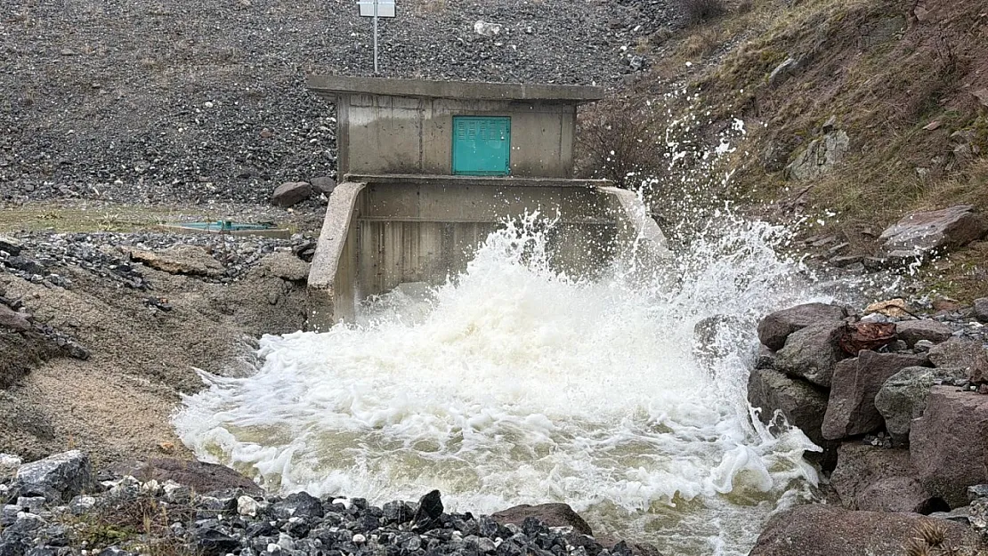 Eber Gölü Eski Günlerine Mi Dönüyor