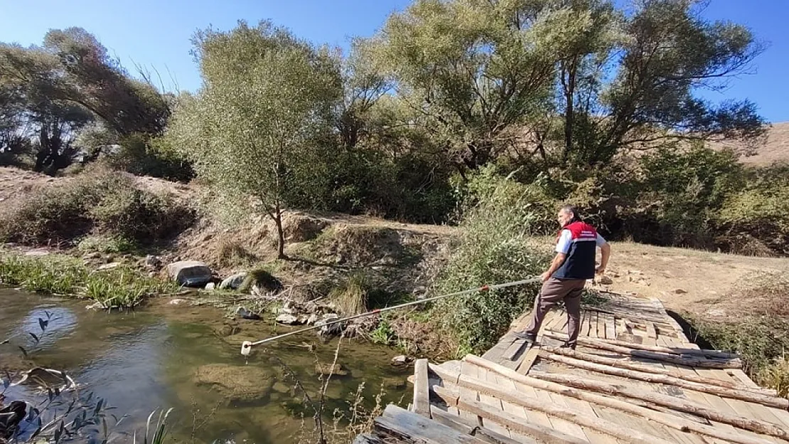 Eber Gölünü Koruma Çalışmaları Sürüyor