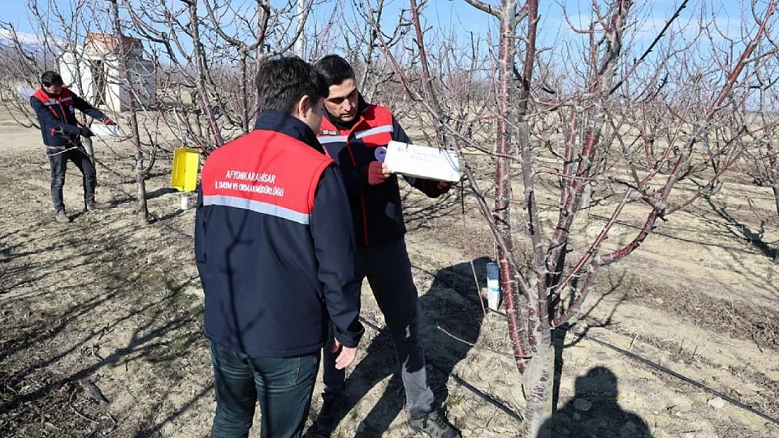 Ekili Alanlarda Hastalık Ve Zararlıların Takibi Devam Ediyor