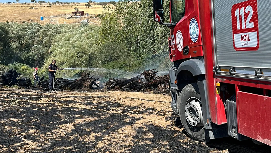 Ekin Yangınına İtfaiye Ekipleri Müdahale Etti