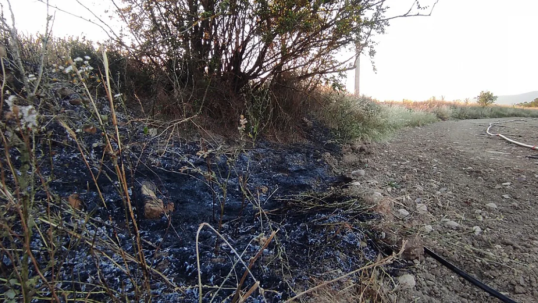 Elektrik Tellerine Çarpan Kuş Yangına Neden Oldu