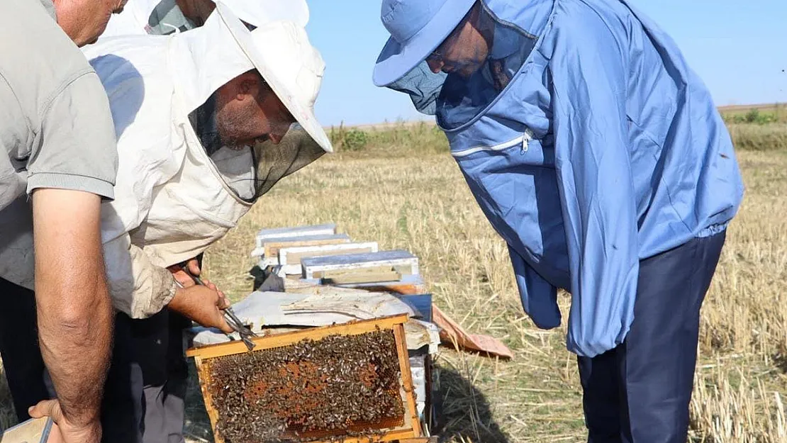 Emirdağ, Arı ve bal üretimi noktasında merkez haline geldi