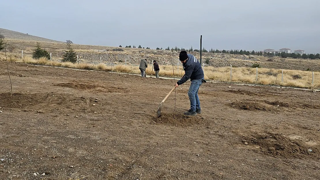 Millet Bahçesi'nde 'Büyük Meyve Bahçesi' Oluşturulacak