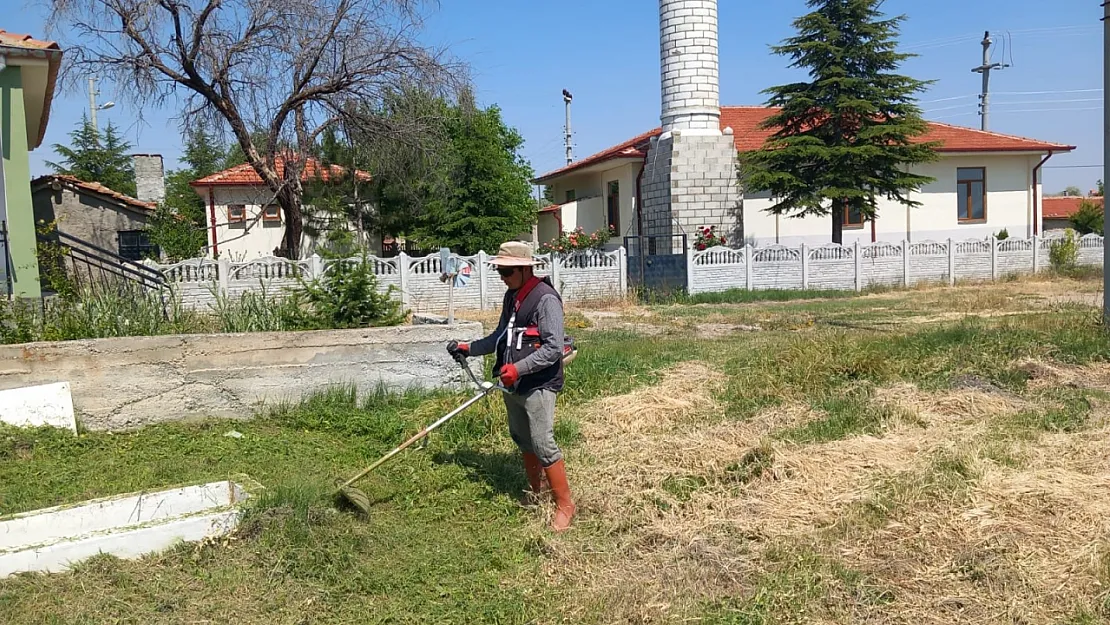 Emirdağ Yarımca'da Yabancı Otlar Temizleniyor