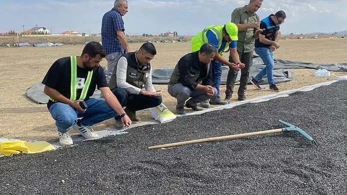 Emirdağ'da ayçiçeği hasadı başladı