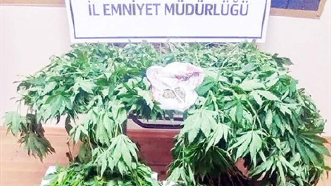 EMNİYET'TEN uyuşturucu ile mücadele gününde operasyon