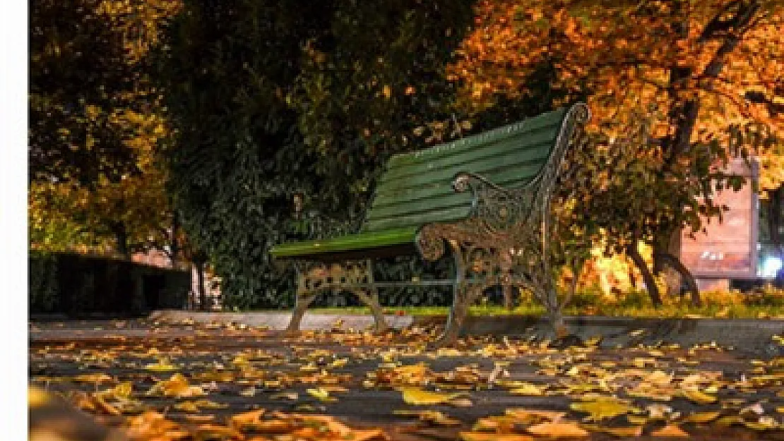 En iyi fotoğraf ödülü Afyon'a