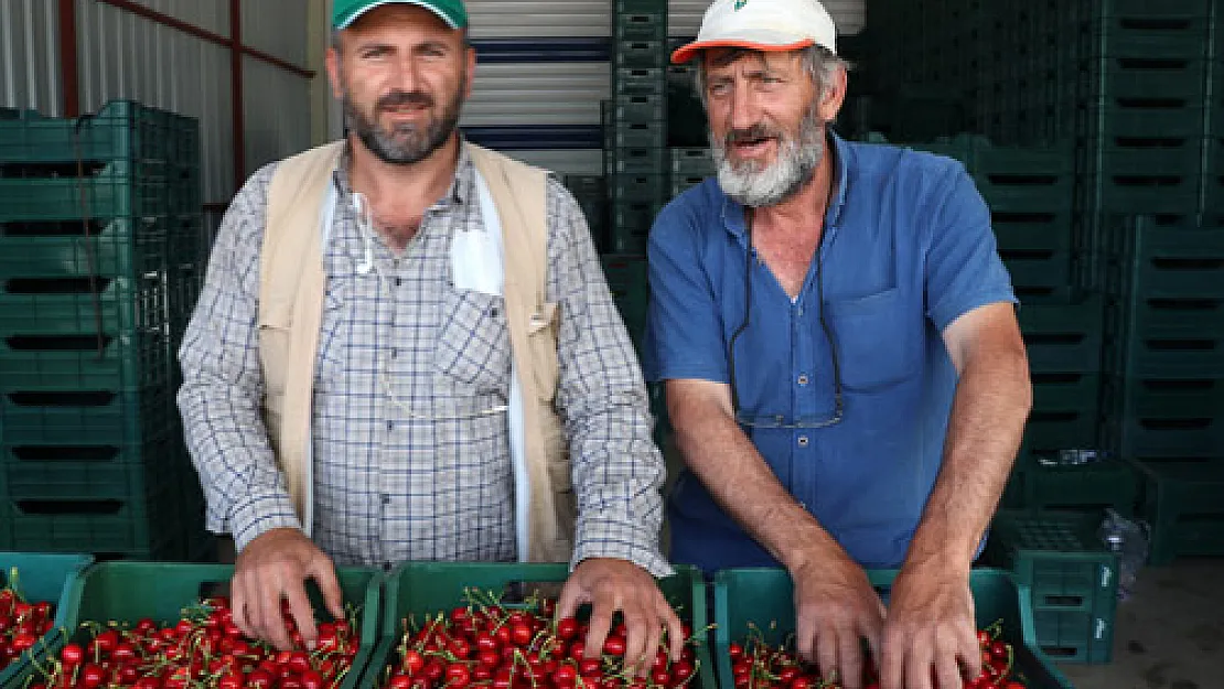 Erkenci kirazda ihracat sezonu hareketli başladı