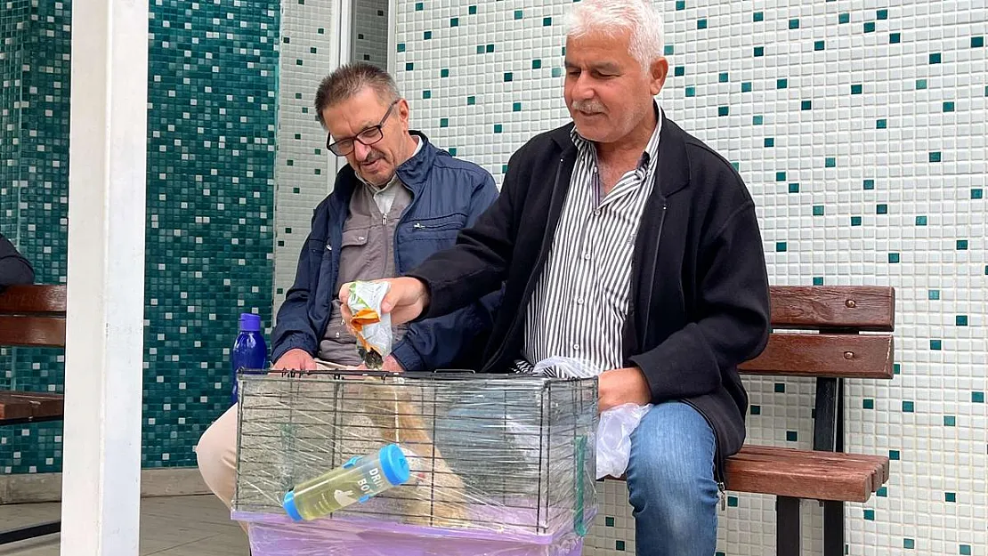 Eskiden bebek bırakırlardı şimdi hamster