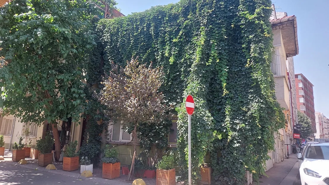 Eskişehir'de Doğa, Evle Bütünleşti