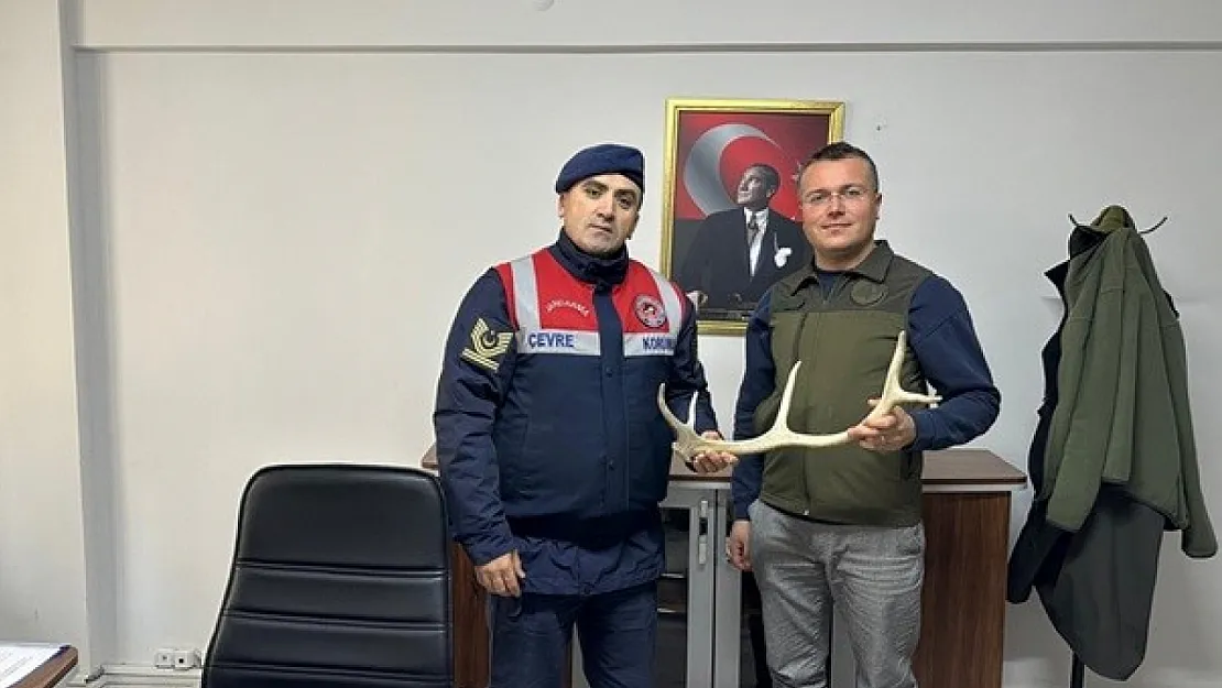 Eskişehir'de Geyik Boynuzu Satan Şahıs Yakalandı