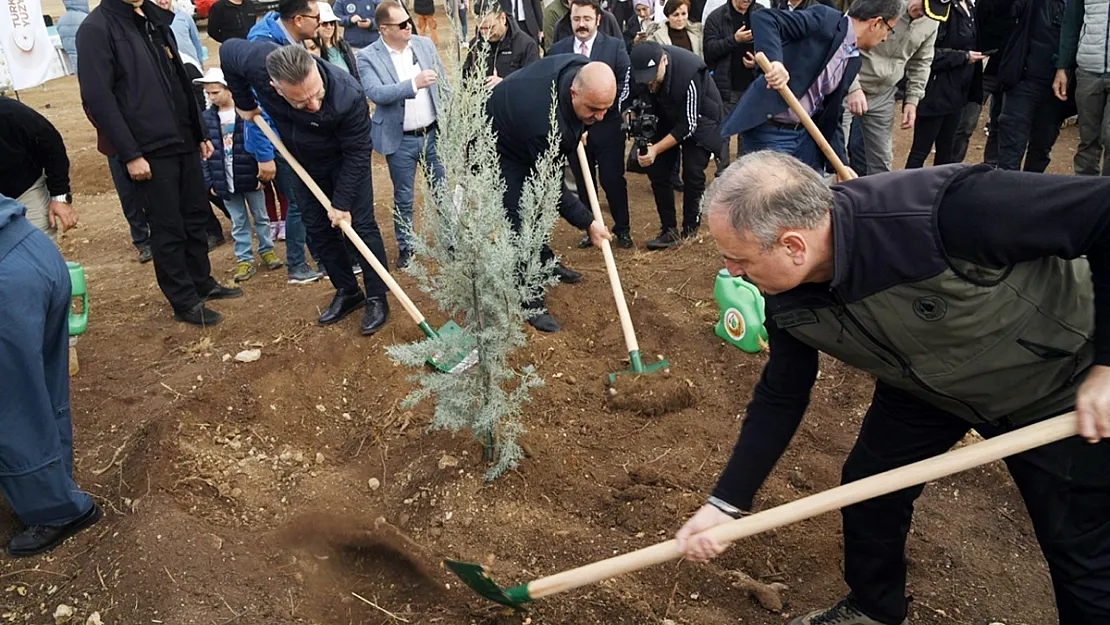 Eskişehir Orman Bölge Müdürlüğü 2023 yılında 1 milyon 264 bin fidan dikti