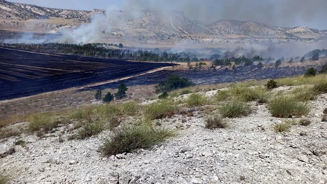 Eskişehir'de 3 farklı noktada orman yangını çıktı