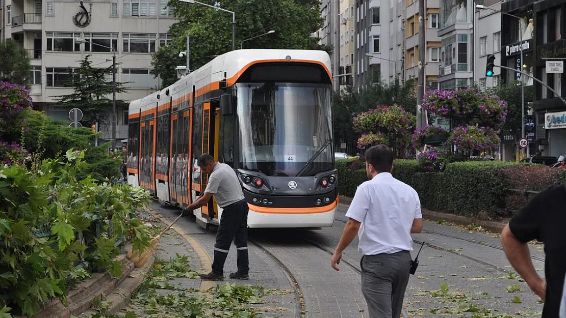 Eskişehir’de rüzgarda kırılan dal tramvay seferlerini aksattı