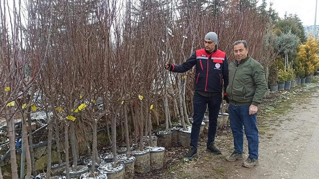 Fidan Satış Noktalarında Denetim