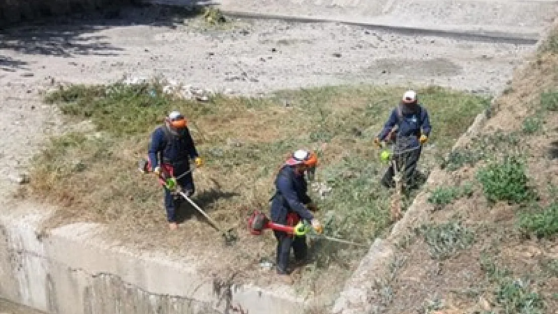 Gali Çayı’nda çalışmalar başladı – Kocatepe Gazetesi