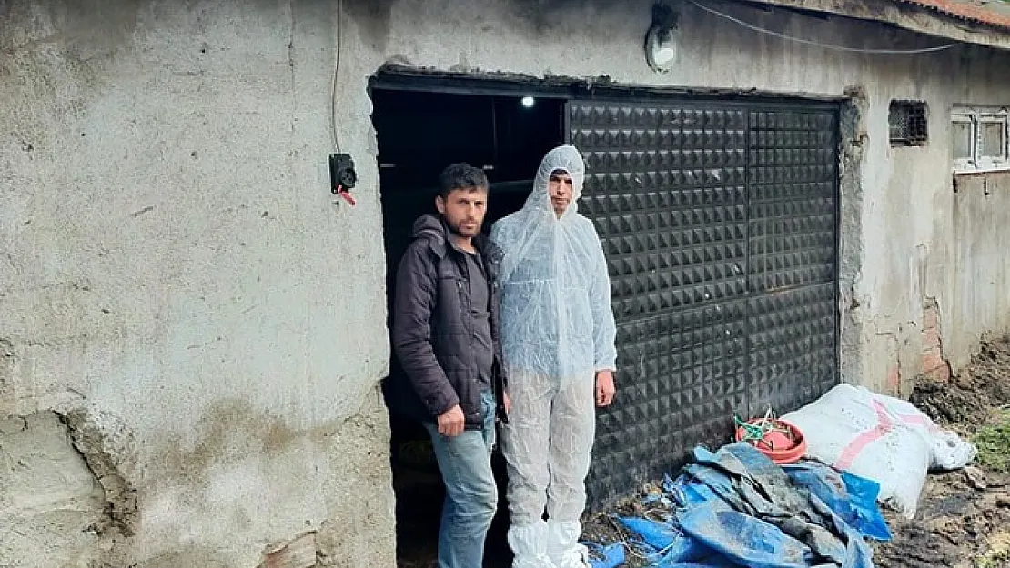 Gediz'de aşırı yağış tavuk çiftliğini vurdu