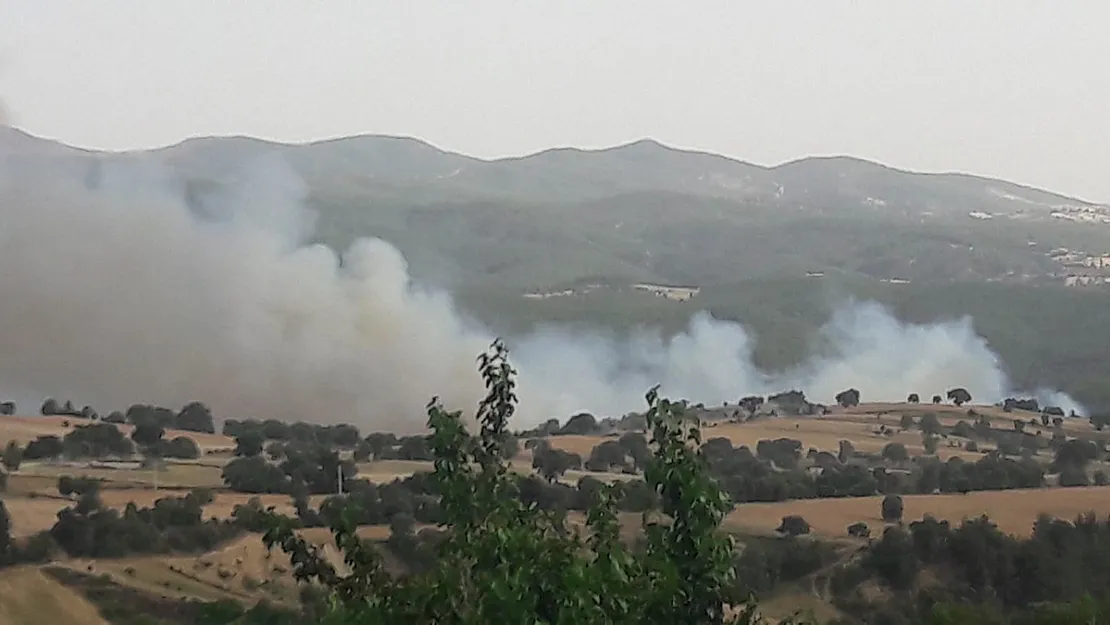 Gediz’deki Orman Yangını Kontrol Altına Alındı