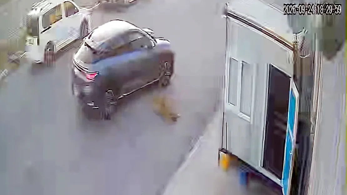 Afyon'da Görenlerin İçini Sızlatan Görüntü