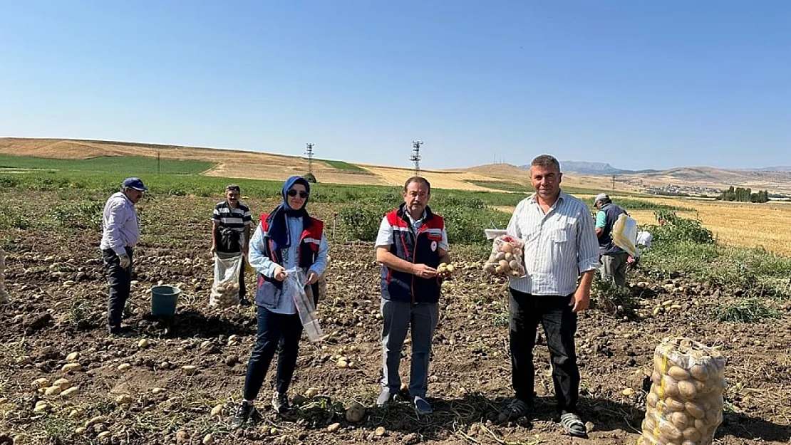 Hasat Öncesi Pestisit Denetimi Yapıldı
