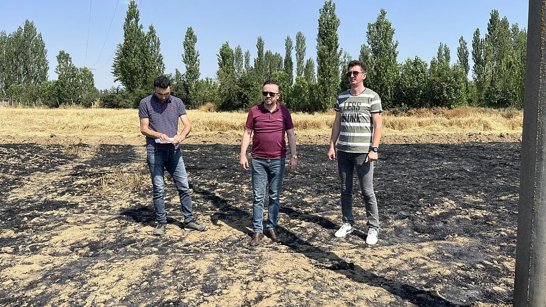 Havada güvercin kovalayan atmaca bakın neye sebep oldu?