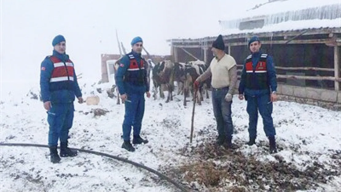 Hayvan hırsızları yakalandı – Kocatepe Gazetesi