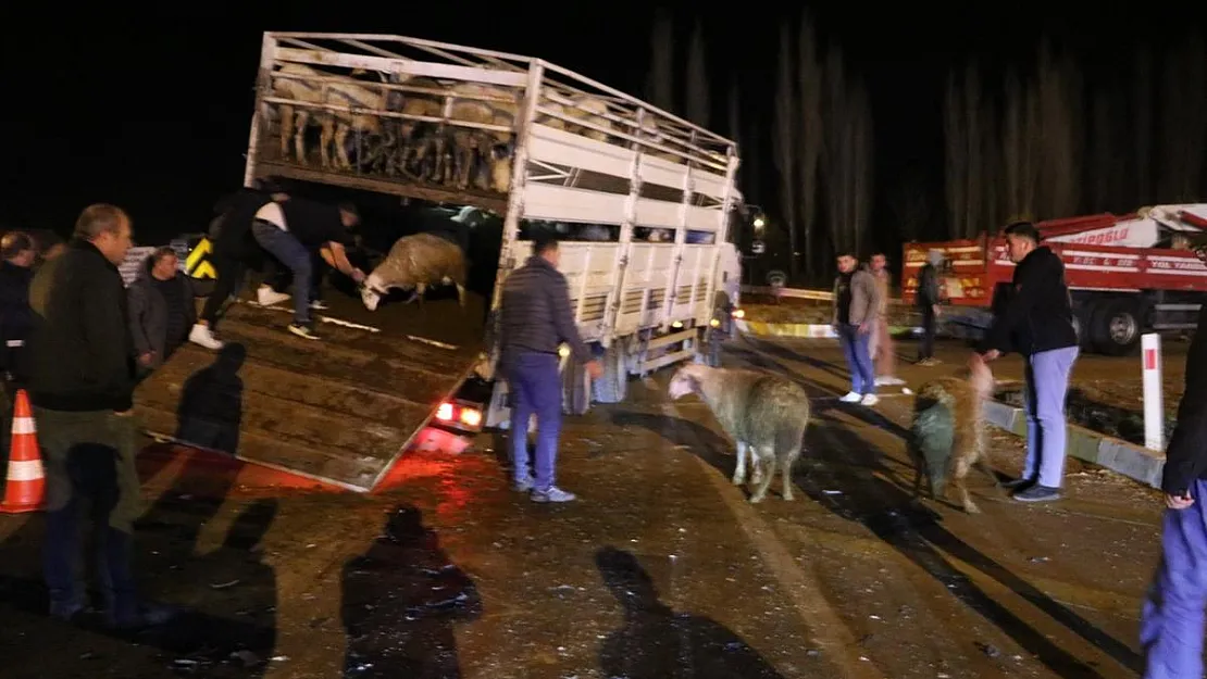 Hayvan yüklü kamyonetle çarpışan otomobilde 2 yaralı