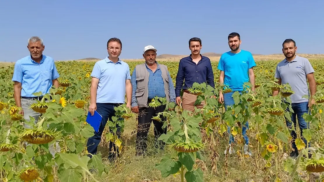 Hibe destekli tohum dağıtımı yapılan arazilerde inceleme yapıldı