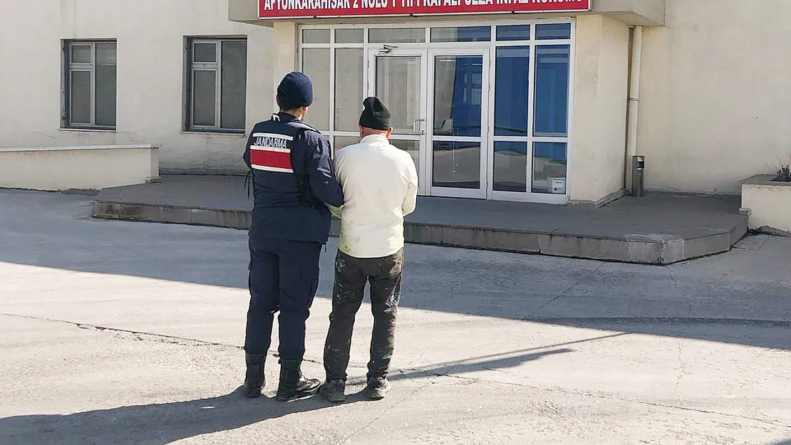 Hırsızlık Suçundan Hapis Cezasıyla Aranan Şahsı Jandarma Yakaladı