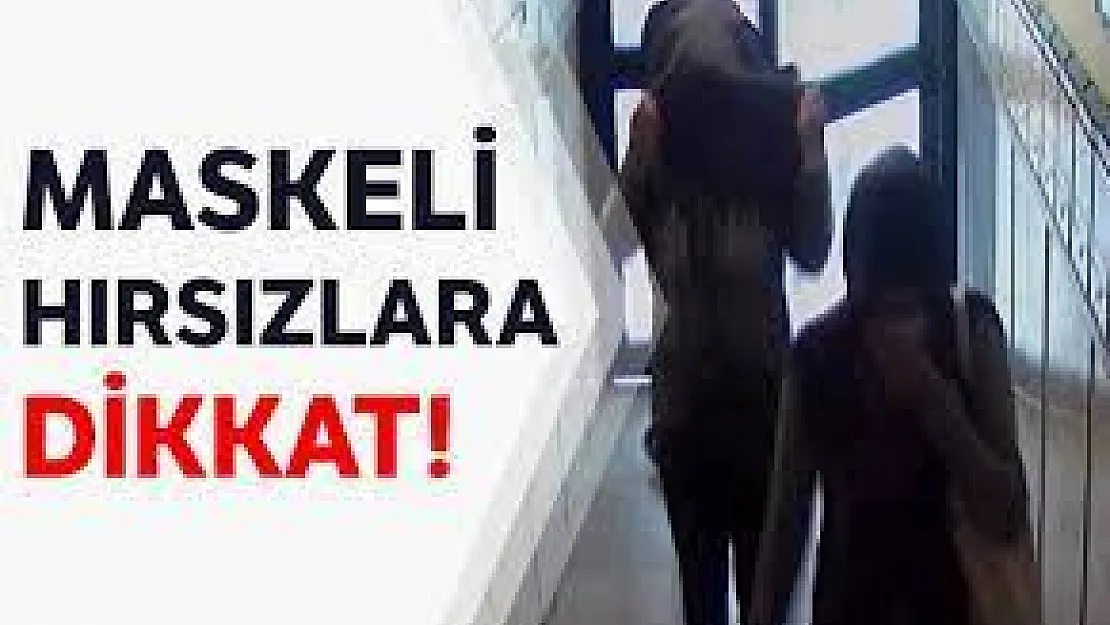 Hırsızlık yapamadan polise yakalandılar