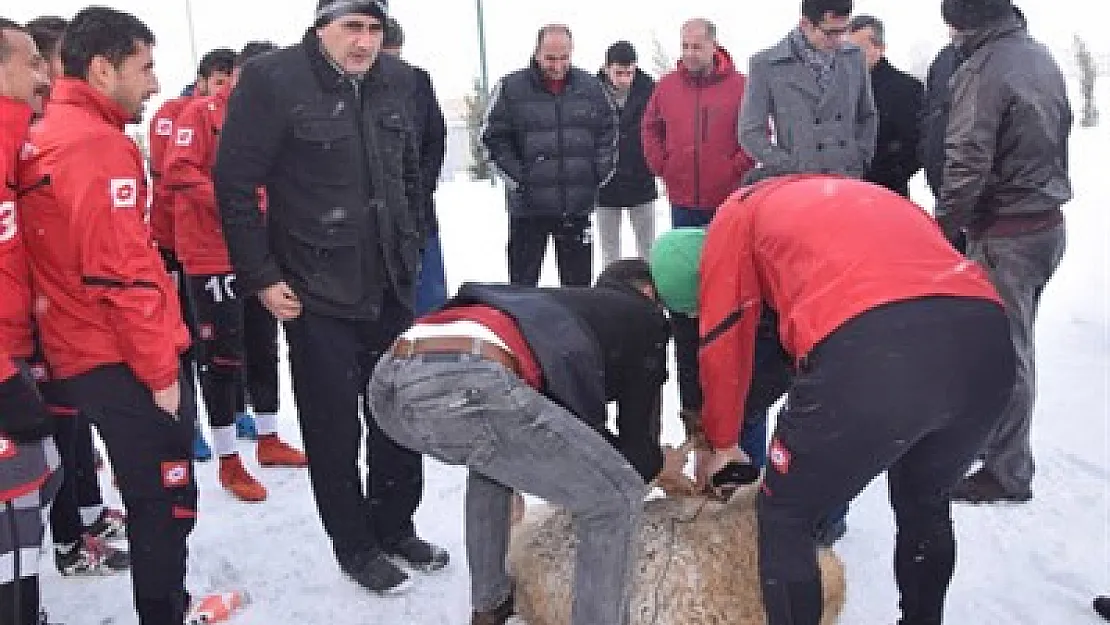 Hisar kurban kesti – Kocatepe Gazetesi