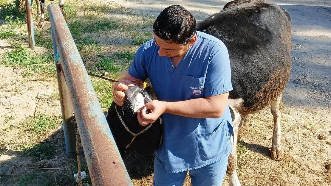 Hisarcık'ta zabıta ekiplerinden kurban satış yerlerinde denetim