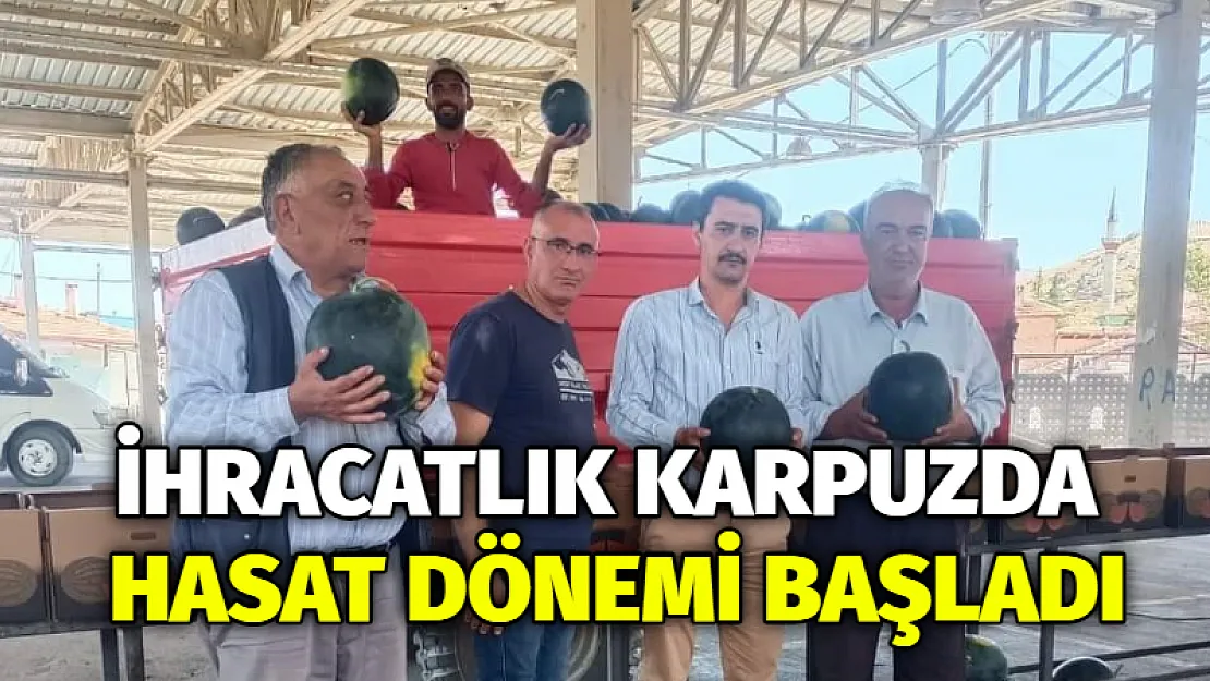 İhracatlık karpuzda hasat dönemi başladı