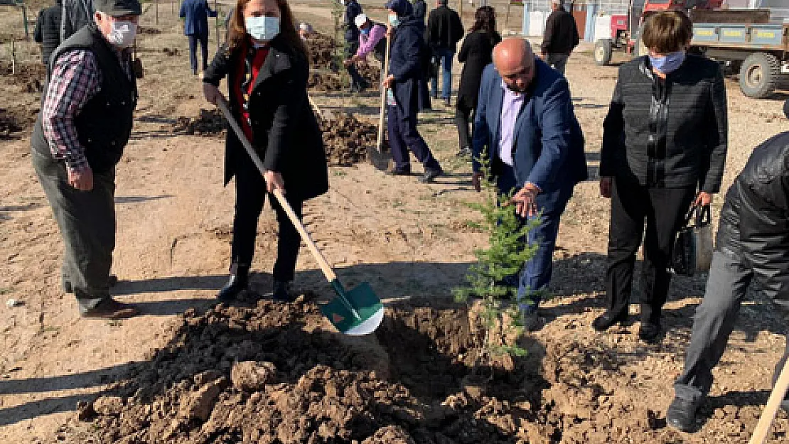 İhsaniye’de Burcu Köksal Hatıra Ormanı kuruluyor