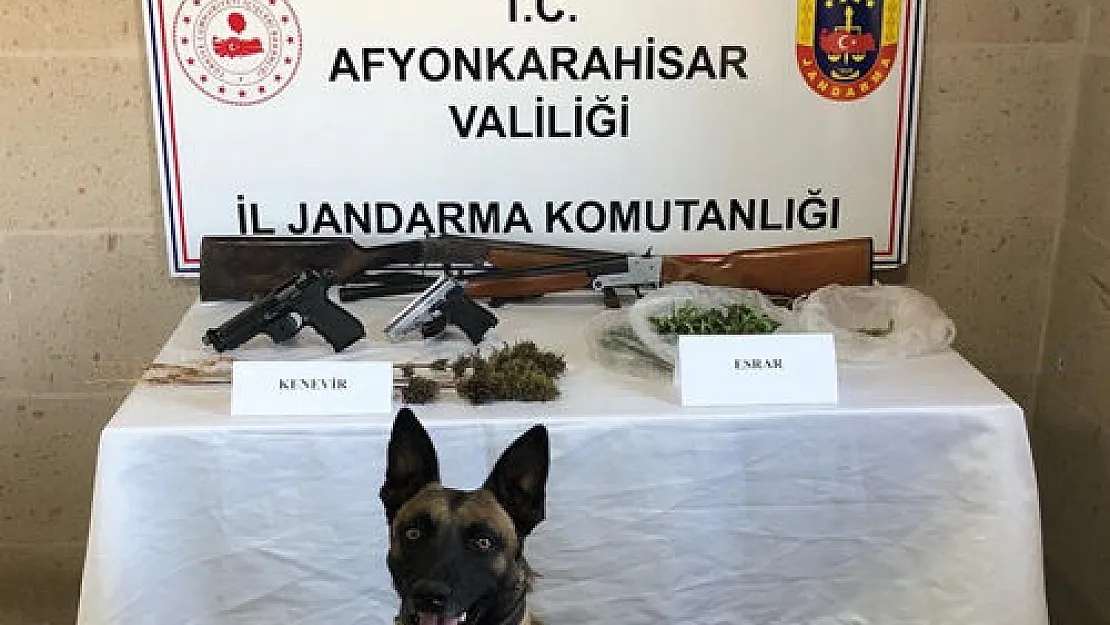 İhsaniye’de Uyuşturucu Operasyonu: Esrar, Kenevir, Av Tüfeği….