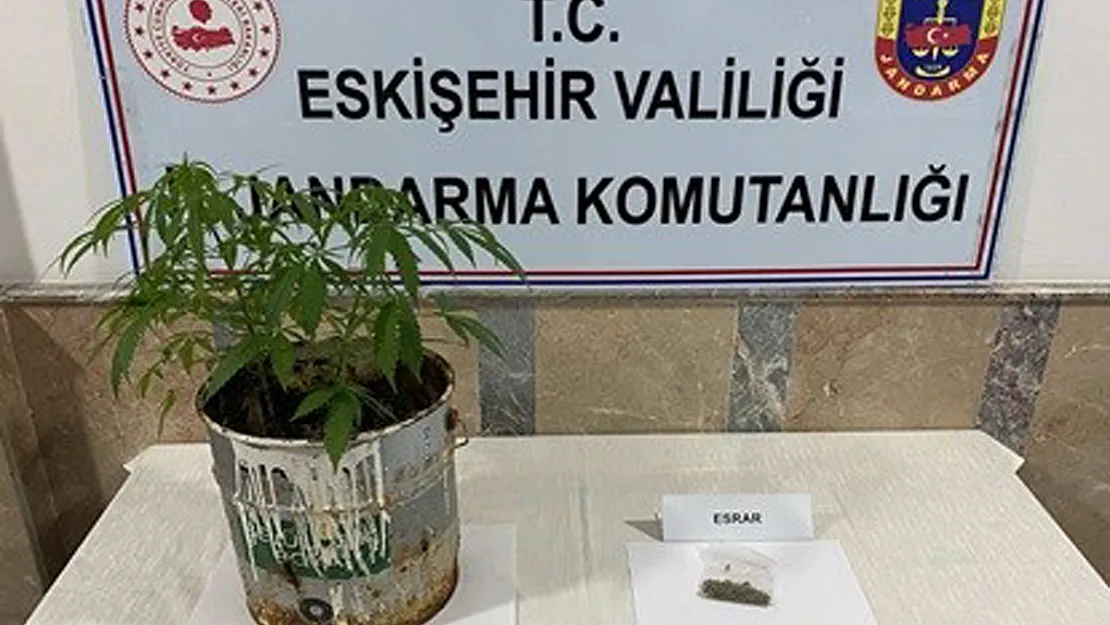 Jandarma Ekiplerinin 9 Farklı Uyuşturucu Operasyonunda 20 Şüpheli Yakalandı