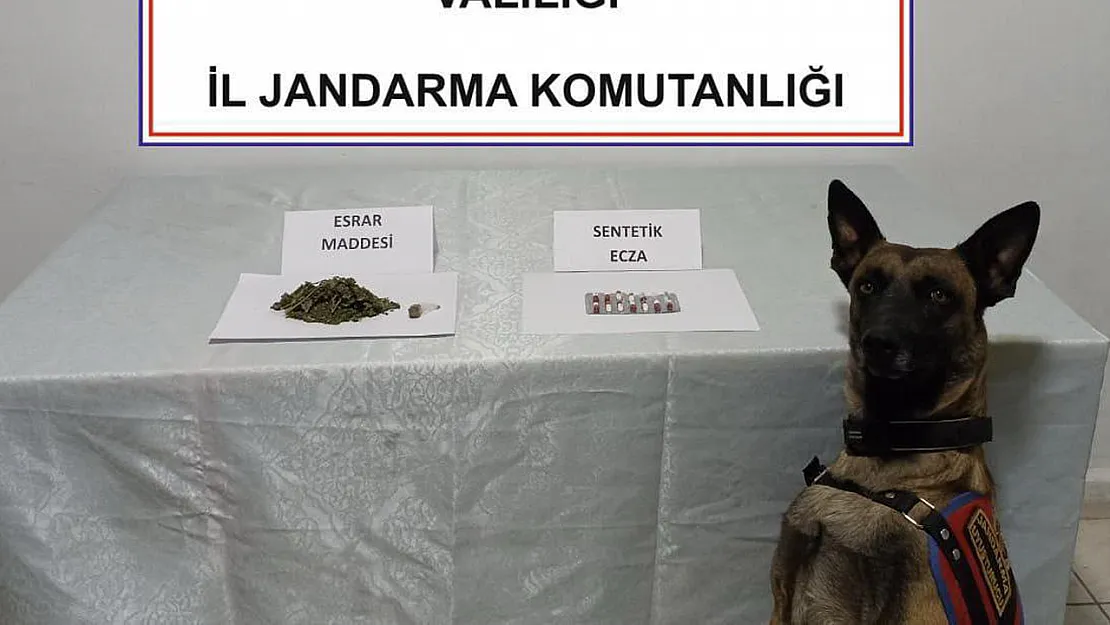 Jandarma Esrar Ele Geçirdi