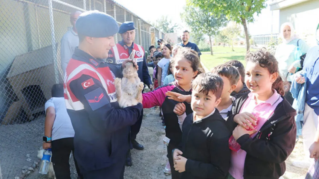 Jandarma sokak hayvanlarını unutmadı