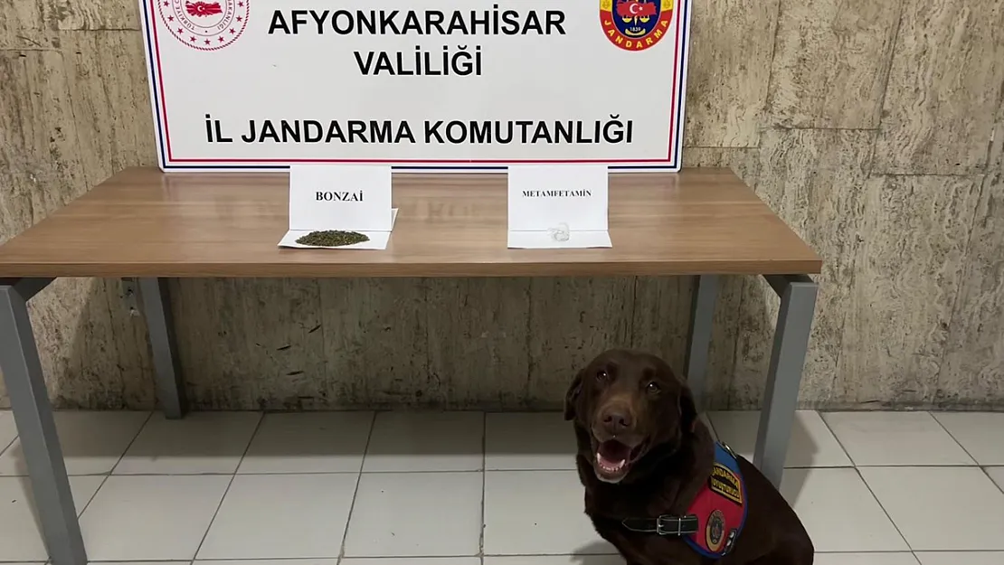 Jandarma Şüphelendiği Araçta Bakın Ne Buldu