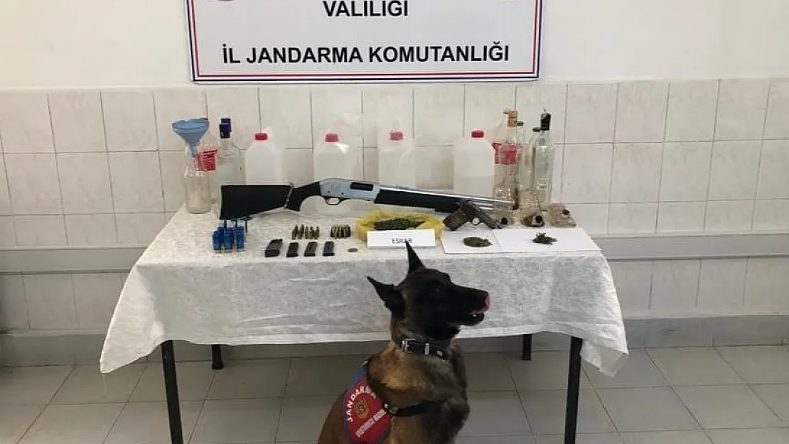 Jandarma uyuşturucu baskını yaptı, silah ve tarihi eser de yakaladı